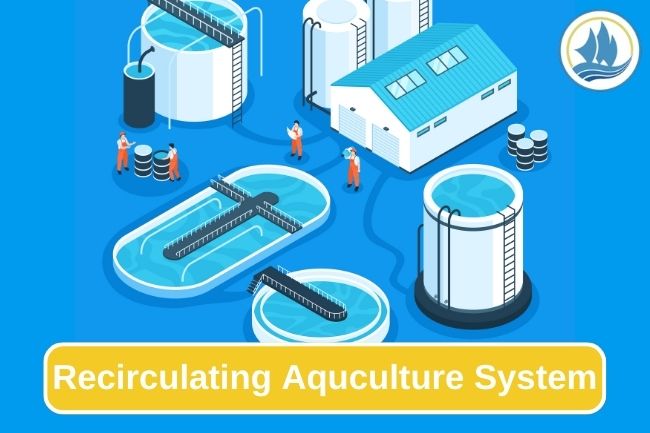 Recirculating Aquaculture System For Fish Farming